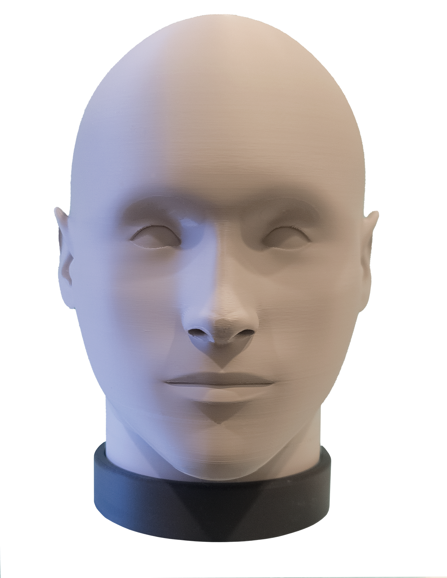 Audiofrog BHM-1 Full-Featured Binaural Head Microphone