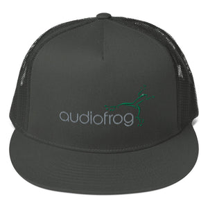Audiofrog Original Logo Snapback